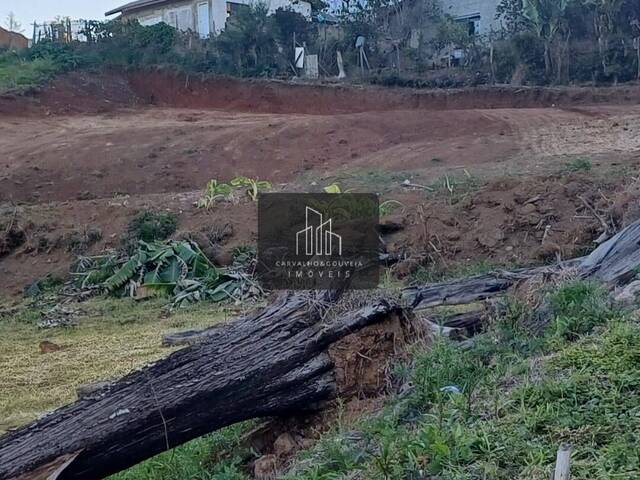 #790 - Terreno para Venda em Poços de Caldas - MG - 3