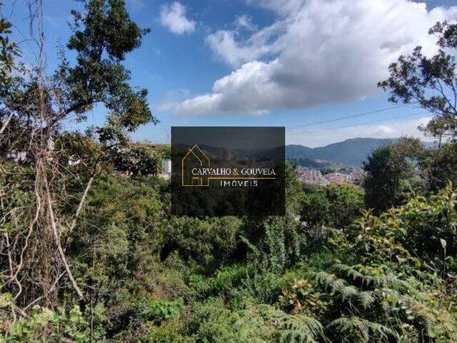 #1022 - Terreno para Venda em Poços de Caldas - MG - 1