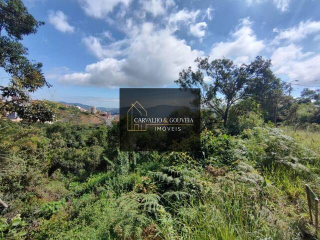 #1022 - Terreno para Venda em Poços de Caldas - MG - 2
