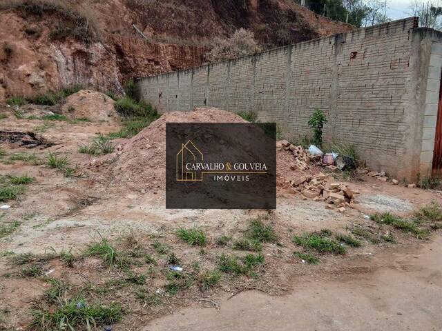 Terreno para Venda em Bandeira do Sul - 2